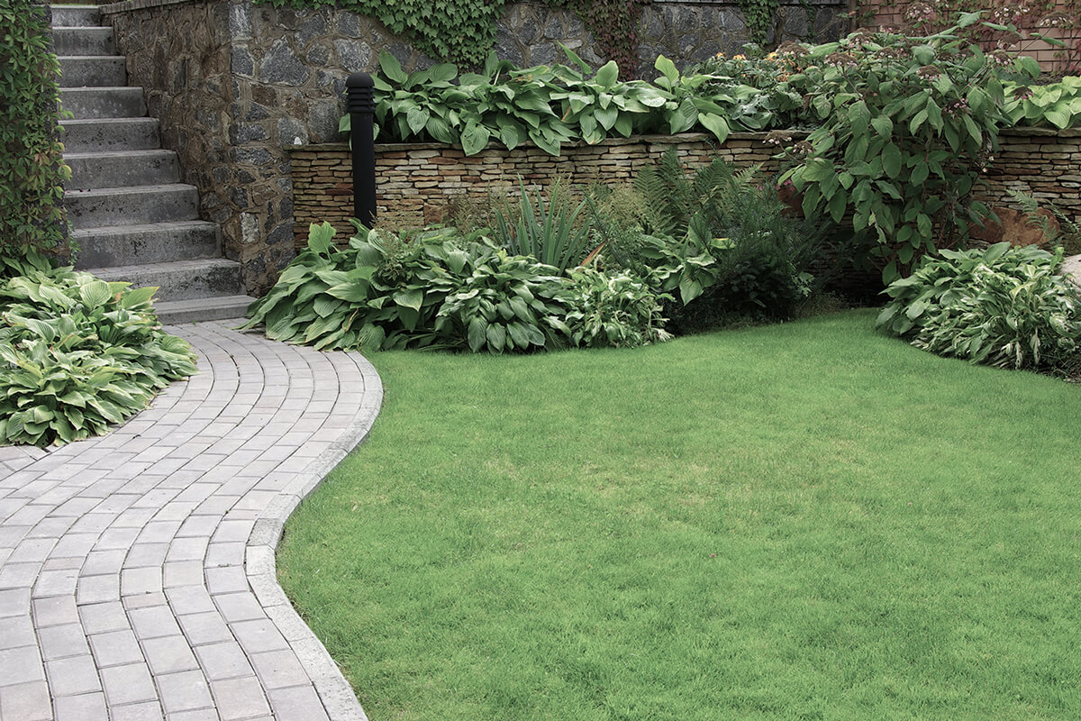 Welcome to Mersey Landscaping